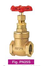BRONZE GATE VALVE, 3/4" (DN 20), PN 25, THREADED ENDS, BS 21, BONNET/STEM/DISC: BRASS, KITZ MODEL PN25S